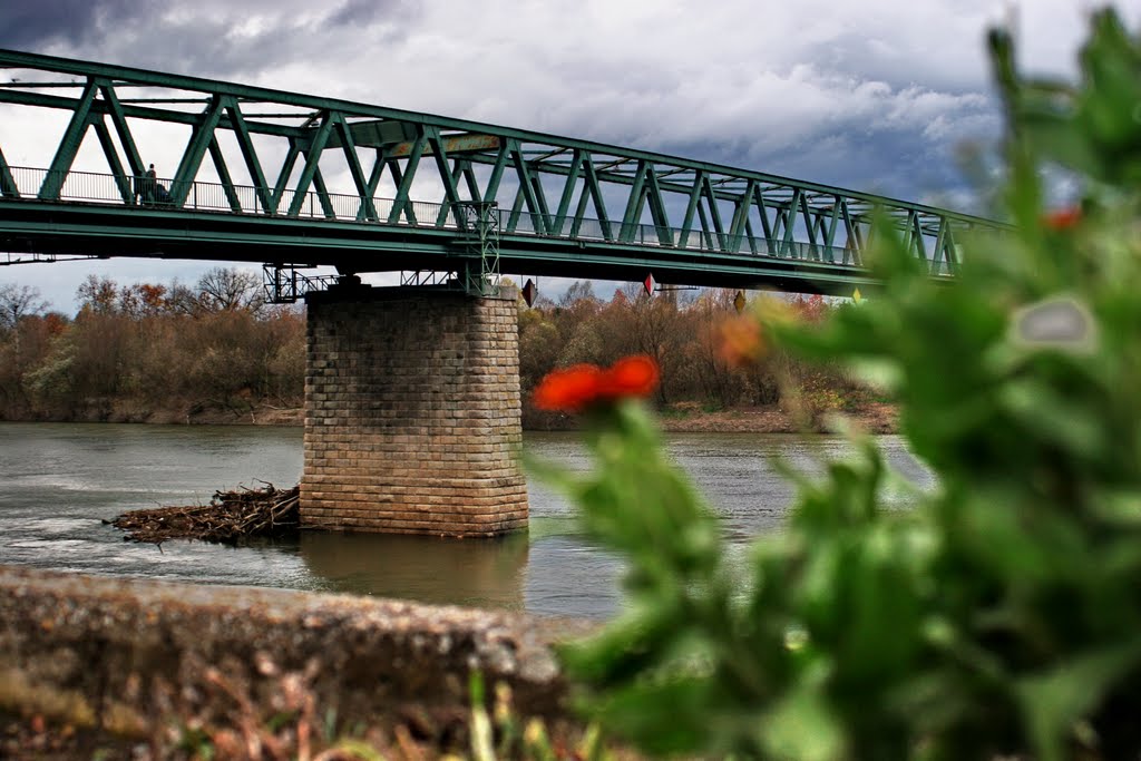 BOSANSKA GRADIŠKA